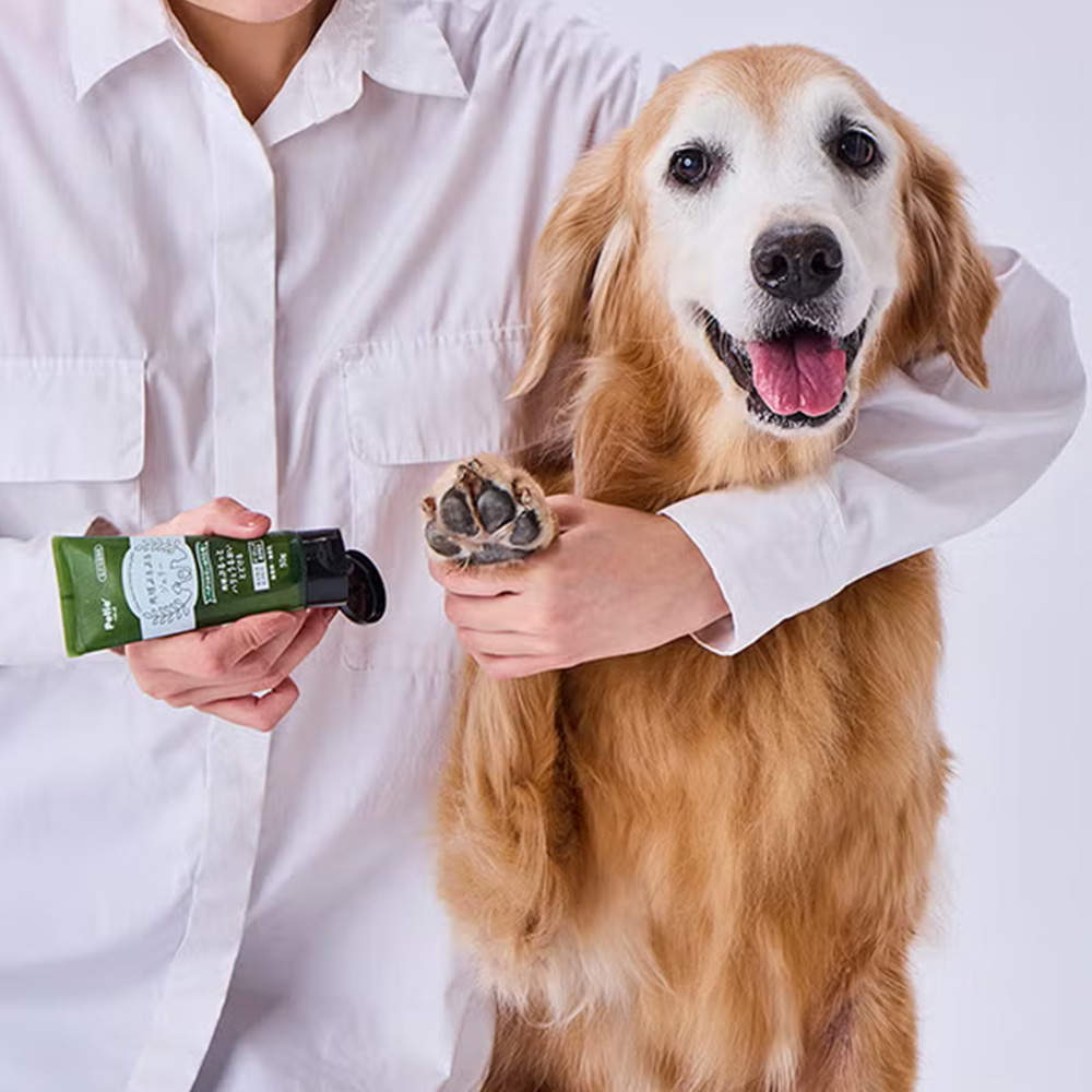 ペティオ 犬猫用 足裏ケア剤 肉球ぷるぷるジェリー 50g 12本