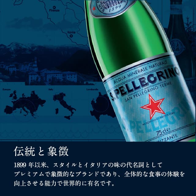 【送料弊社負担】炭酸水 サンペレグリノ スパークリング・ナチュラルミネラルウォーター 瓶 750ml 12本【他商品と同時購入不可】
