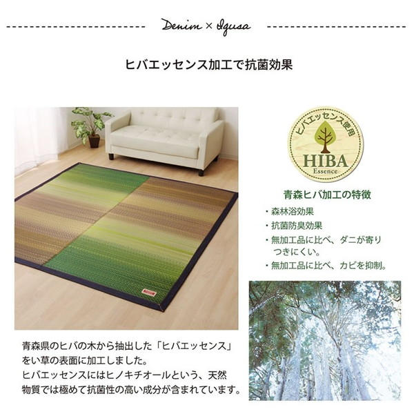 イケヒコ 純国産 い草カーペット Fジョイ 楕円 約190×210cm レッド