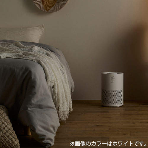 アイリスオーヤマ 空気清浄機 10畳 ホワイト AAP-S20C-W