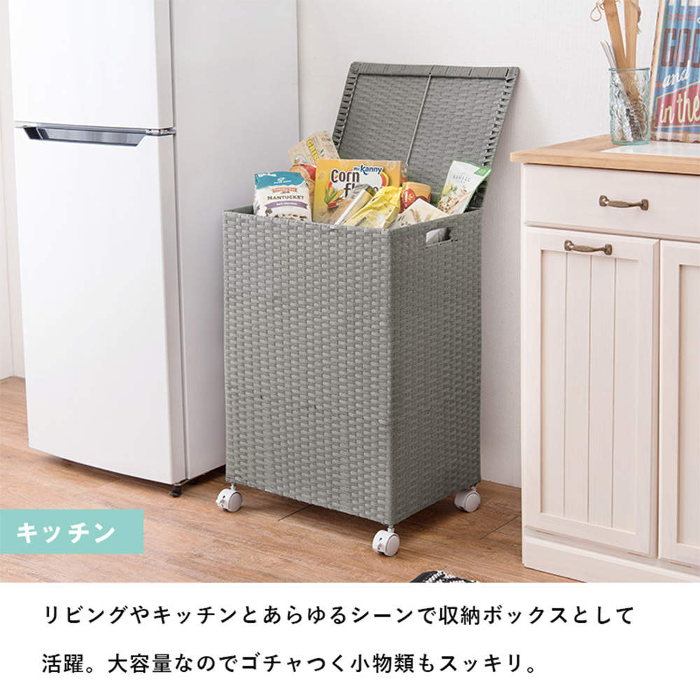 萩原 キャスター付収納ボックス ホワイト RUD-2422WH