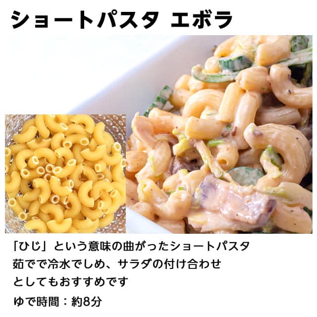 バハール パスタ スパゲッティ デュラム小麦100％ 1kg×12袋