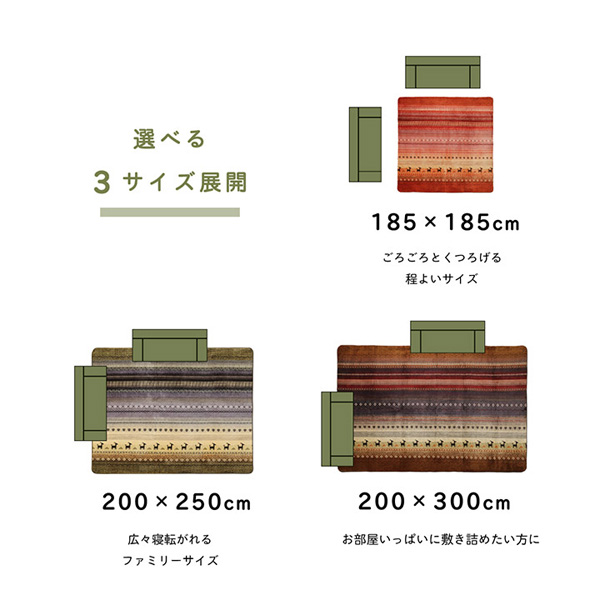 イケヒコ DXラディ ラグ ギャッベ柄 ホットカーペット対応 正方形 185×185cm グリーン DRD185