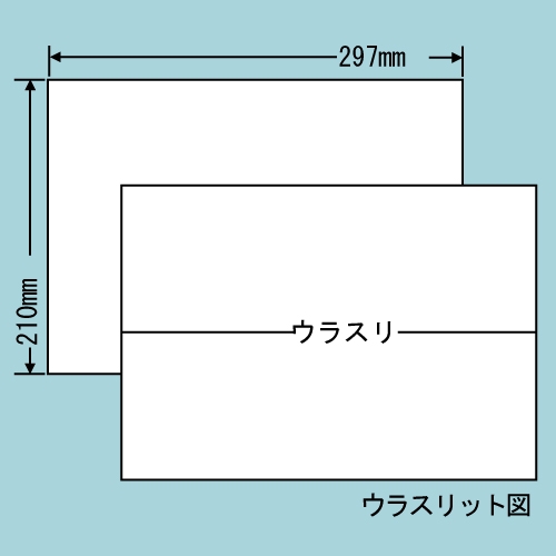 東洋印刷 ラベルシール nana 汎用タイプ A4 100シート C1Z: