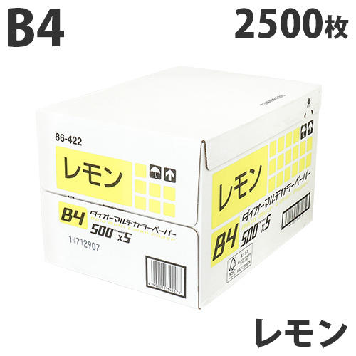 【FSC認証】カラーコピー用紙 ダイオーカラーマルチペーパー B4 レモン 2500枚: