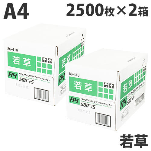 【FSC認証】カラーコピー用紙 ダイオーカラーマルチペーパー A4 若草(ライトグリーン)5000枚(2500枚×2箱):