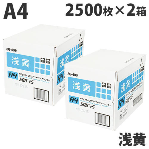 【FSC認証】カラーコピー用紙 ダイオーカラーマルチペーパー A4 浅黄(ライトブルー)5000枚(2500枚×2箱):
