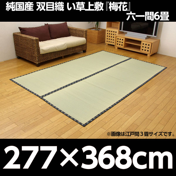 イケヒコ 純国産 糸引織 い草上敷 『梅花』 六一間6畳(約277×368cm):