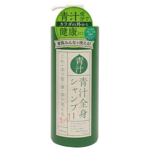 ヒロ・コーポレーション 3in1 青汁全身シャンプーI 1000ml【他商品と同時購入不可】: