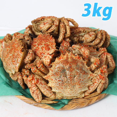 【今季販売終了】青森むつ湾 とげくり蟹 3kg（10～13杯前後）: