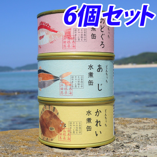 シーライフ どんちっち缶詰 どんちっち魚 3缶 2セット: