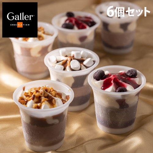 【送料弊社負担】Galler(ガレー) チョコレートアイスパルフェ 6個セット【他商品と同時購入不可】: