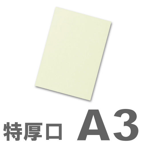 大王製紙 カラーコピー用紙 色上質紙 (国産紙) 特厚口 A3 うぐいす 250枚