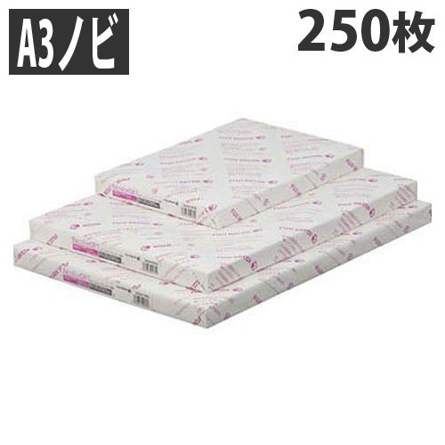 富士ゼロックス コピー用紙 Ncolor081 103μm A3ノビ 250枚