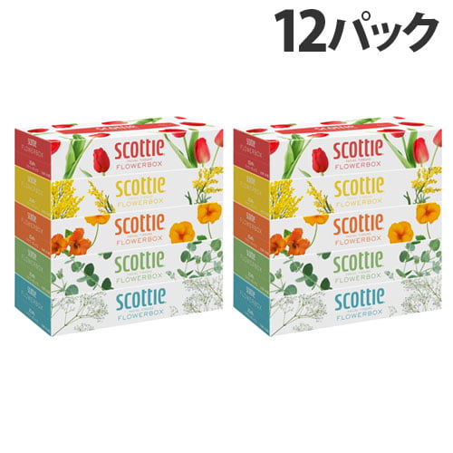 日本製紙クレシア スコッティ ティシュー フラワーボックス 320枚（160組） 5箱入×12パック