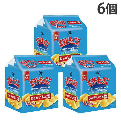 【賞味期限:26.01.31】湖池屋 ポテトチップス じゃがいもと塩 5P入×6個