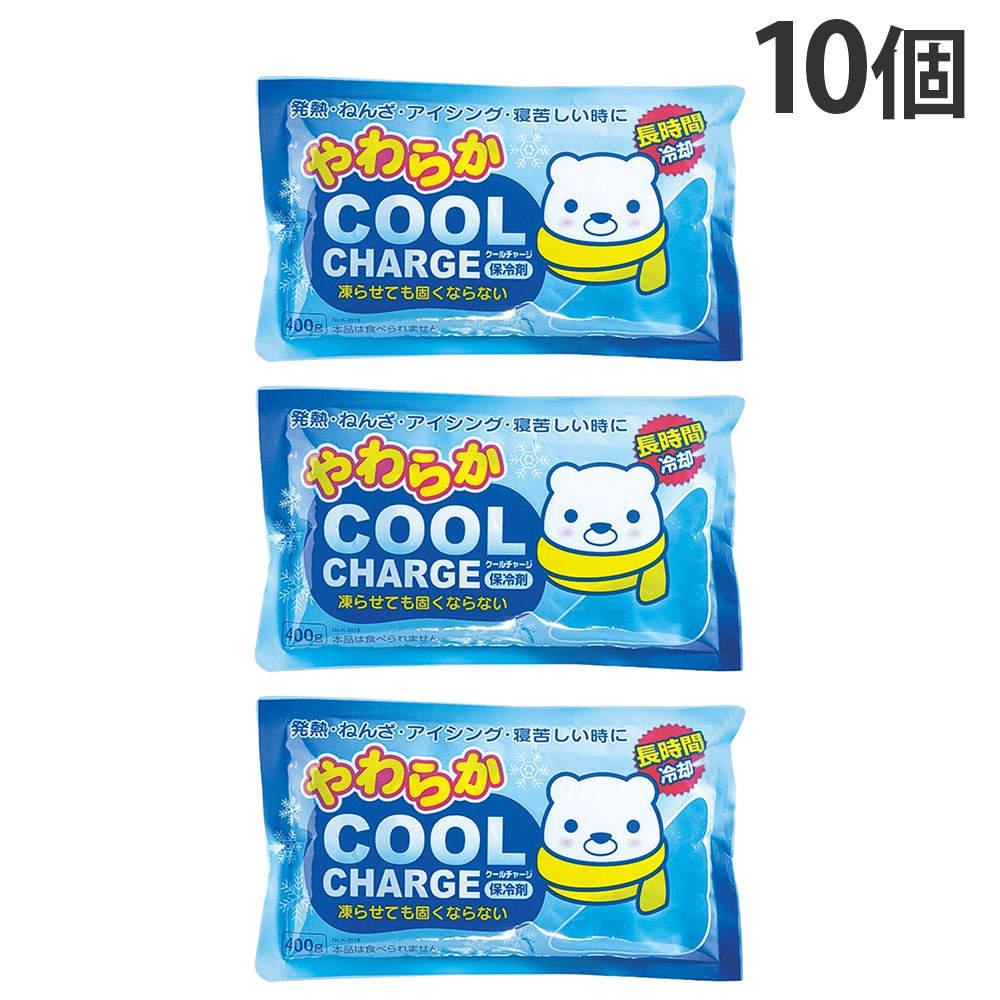 小久保工業所 保冷剤 やわらかクールチャージ 10個 K-2018