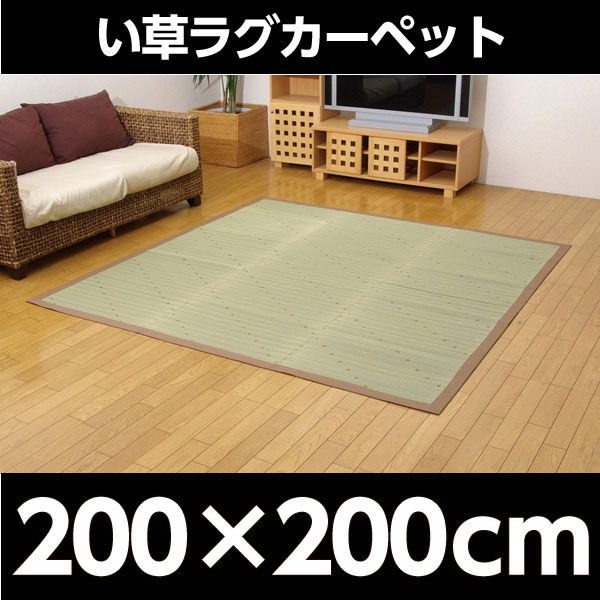 イケヒコ DXミルキー い草ラグカーペット 約200×200cm ブラウン