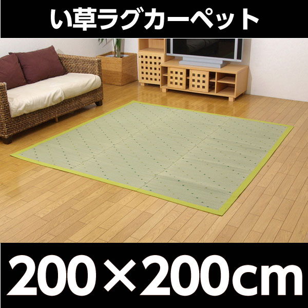 イケヒコ DXミルキー い草ラグカーペット 約200×200cm グリーン