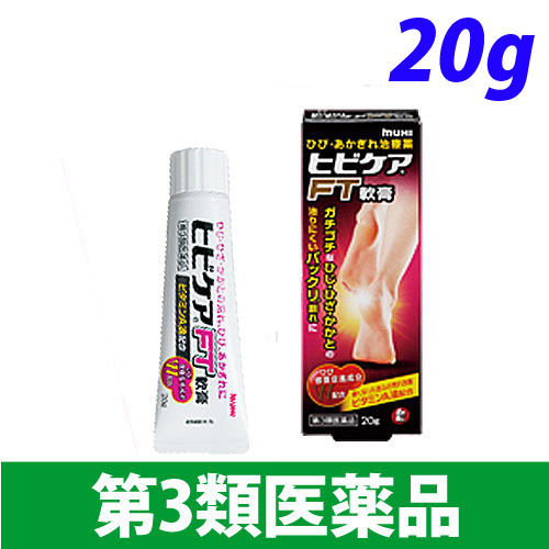 【第3類医薬品】池田模範堂 ヒビケア FT 20g