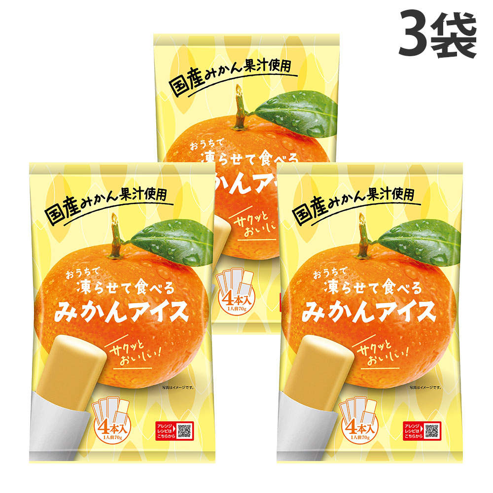 谷尾食糧工業 凍らせて食べる 国産みかんアイス 70g×4本 3袋