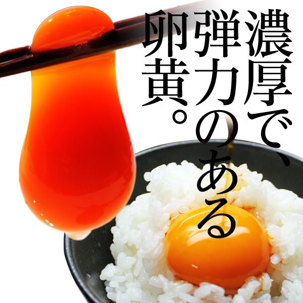 デイリーエッグ 赤穂の源×36個　通のたまかけ醤油×3本