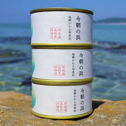 シーライフ 今朝の浜 【魚種おまかせ】 3缶セット